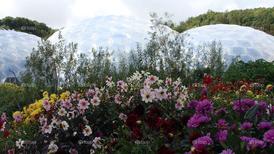 Eden project Cornwall