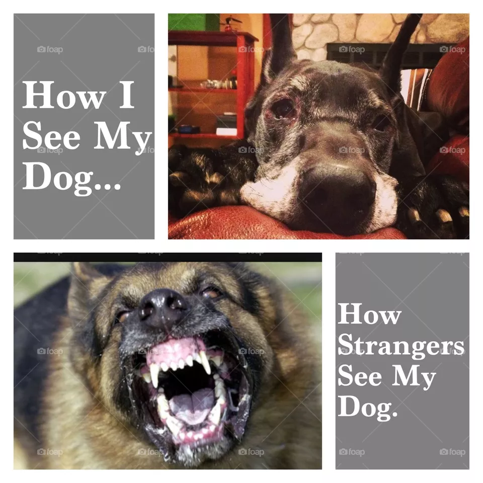 Kozmo 