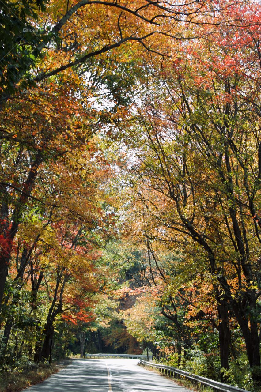 Autumn in New England 