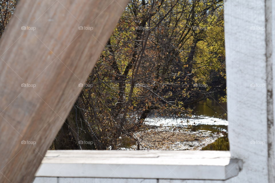 View from the Bridge