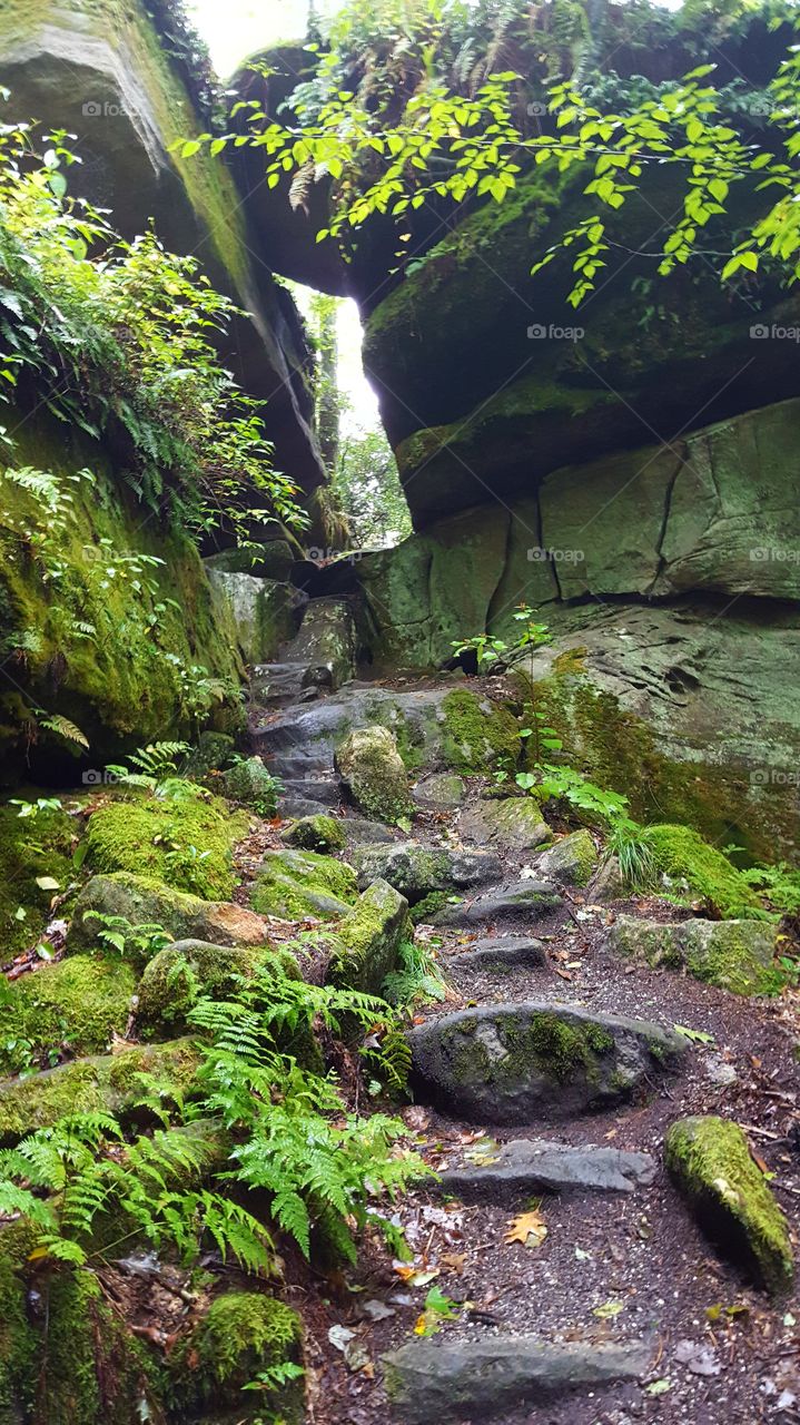 Mossy rock formations open up to form a jagged pathway deep in the mountain forest.