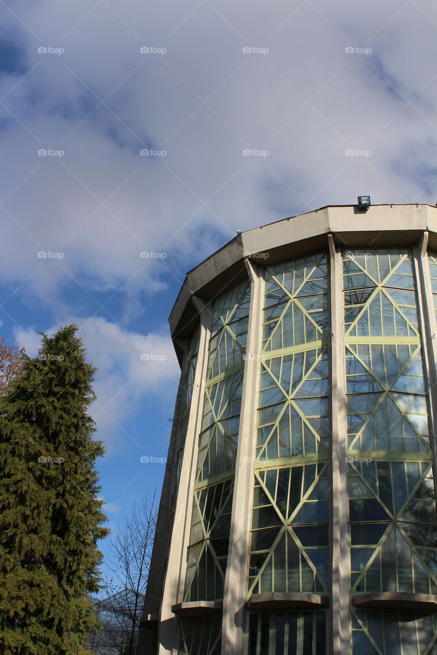 beautiful geometrical building with transparent windows and a tall tree