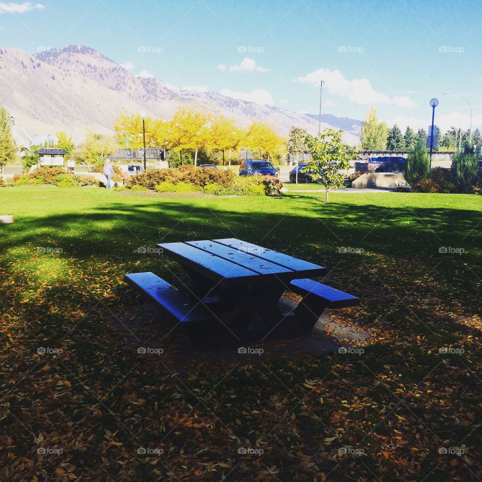 Enjoying fall at the park! 