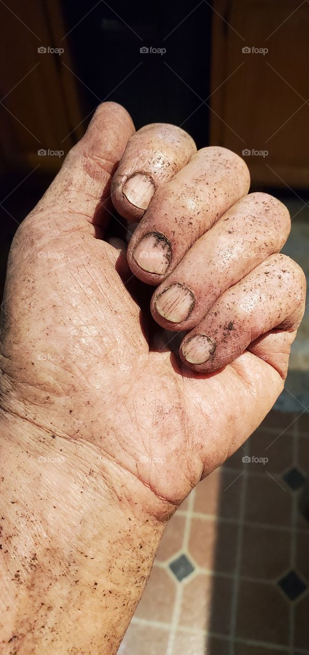 Dirty working hands, muddy dirt under fingernails. Dirt on hand, fingers & arm. Working hands!🖐