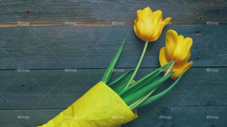 Yellow tulips on wood