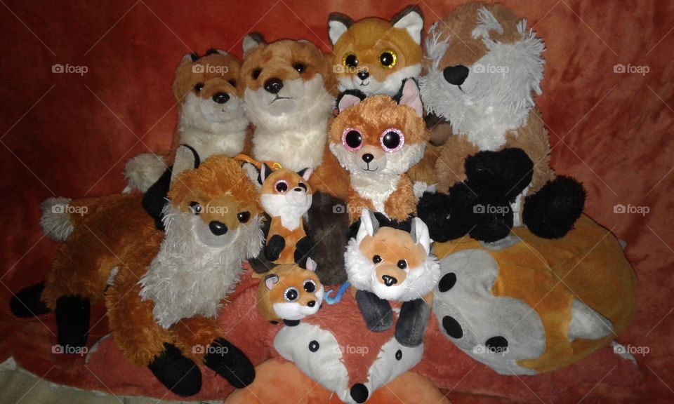 My collection of adorable foxes! So great!