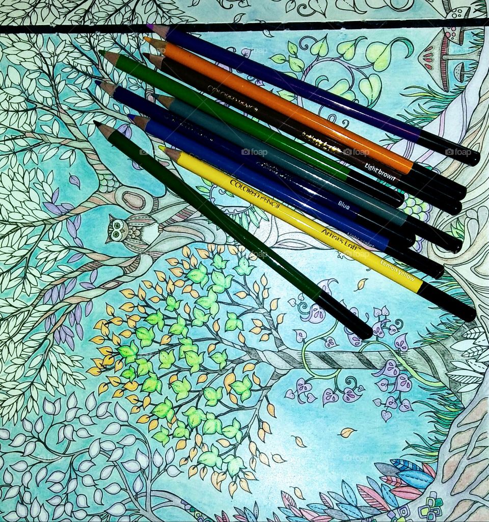 Coloring for Grown Ups
