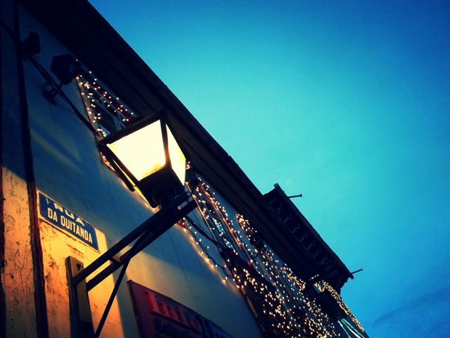 Shy Lights