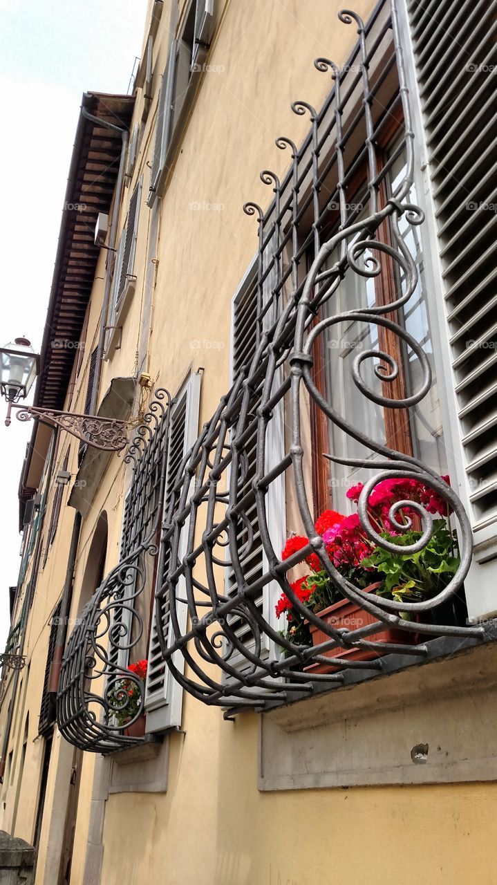 Ironwork balcony rail in Florence, Italy, with red flowers in window flower of.
