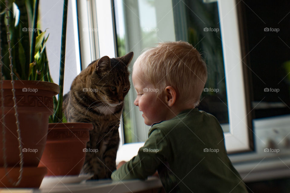 Close-up of a boy with his cat