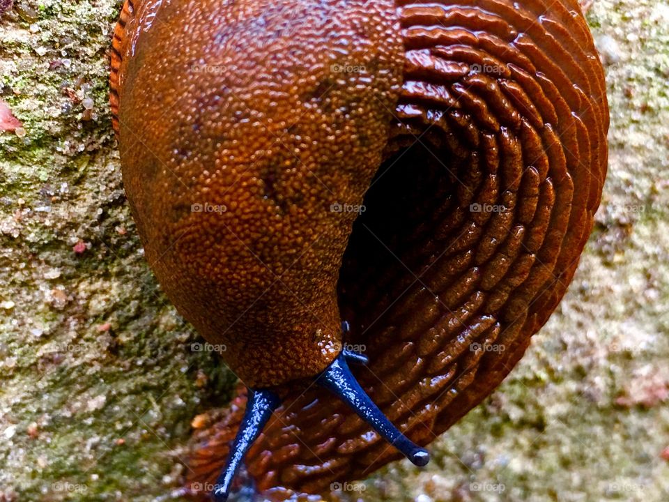 Captured with iPhone 6s Plus 