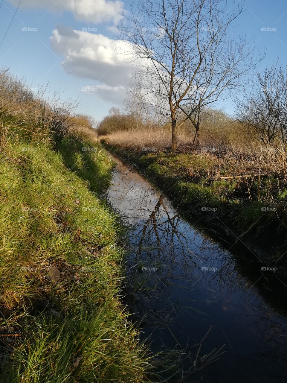 Great outdoors