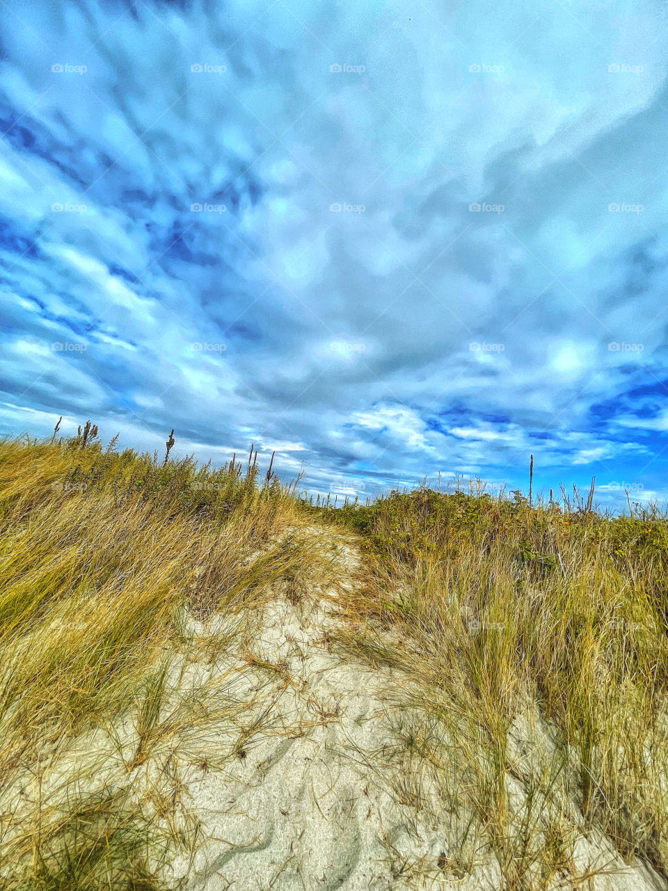 Walking the sand dunes.. 