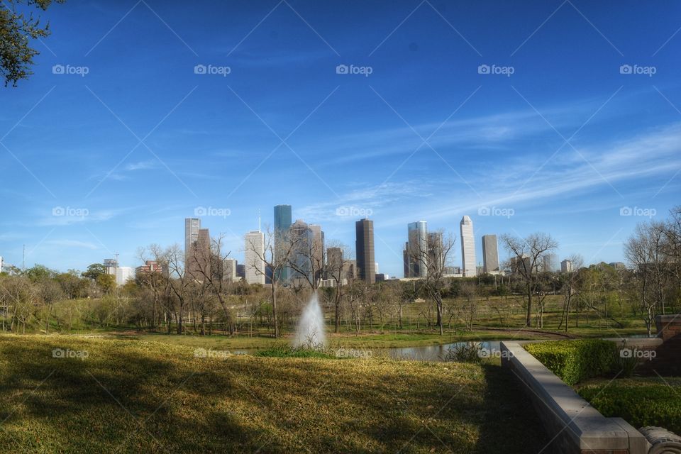 Park in front of city skyline