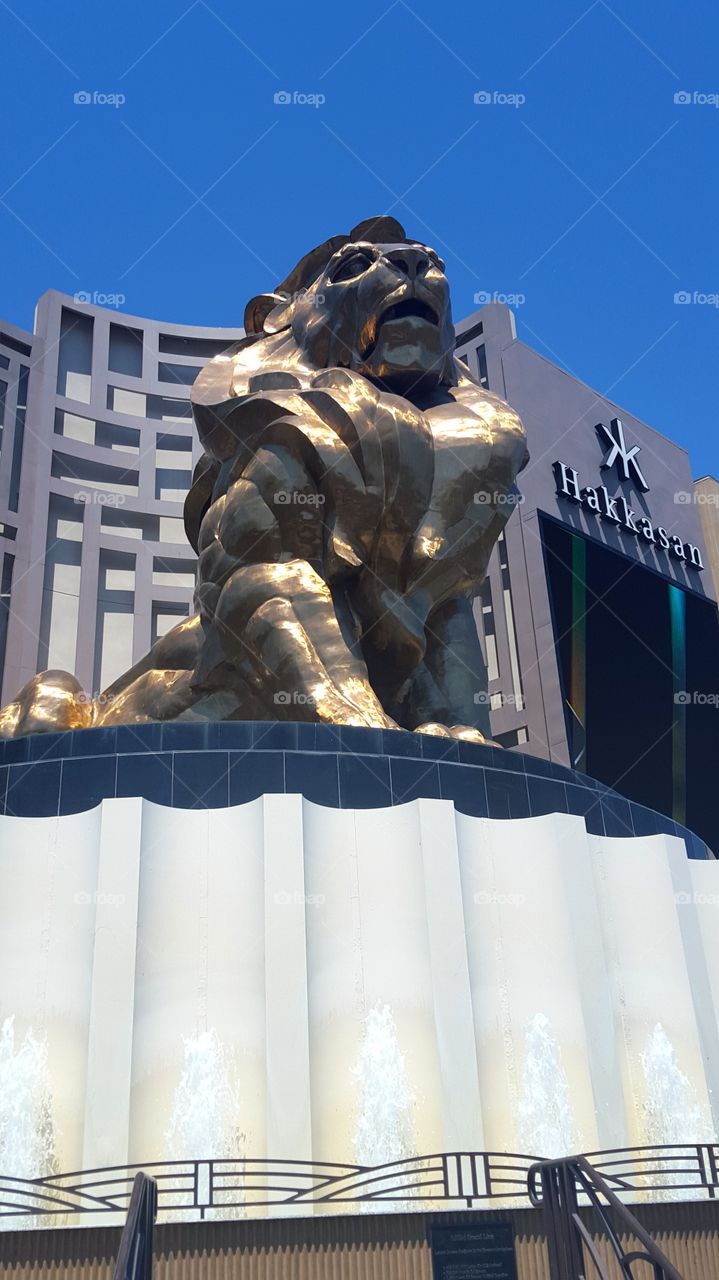 MGM Grand Lion in Vegas