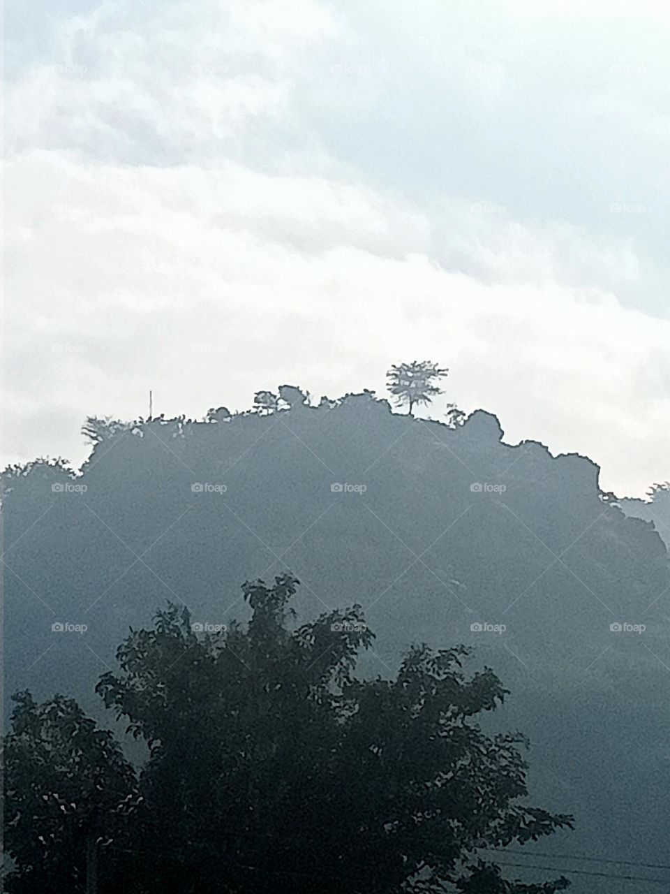 Ravarma VanguvO 
Shadow Mountain
Snowfall time
Mountain tree