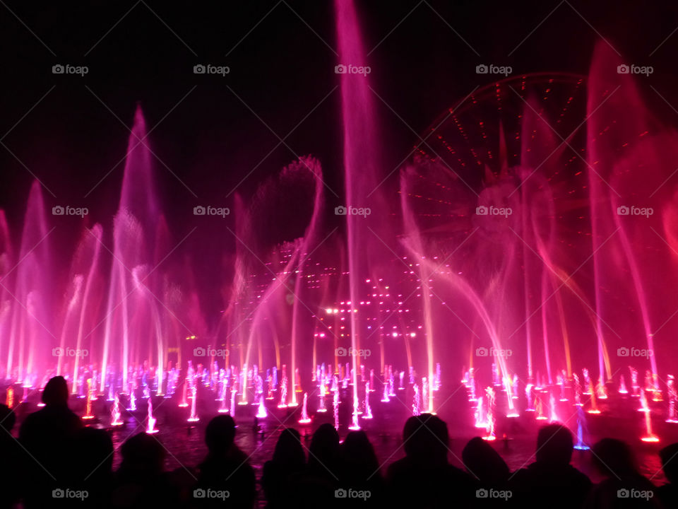 Audience in silhouette at a Light show at night