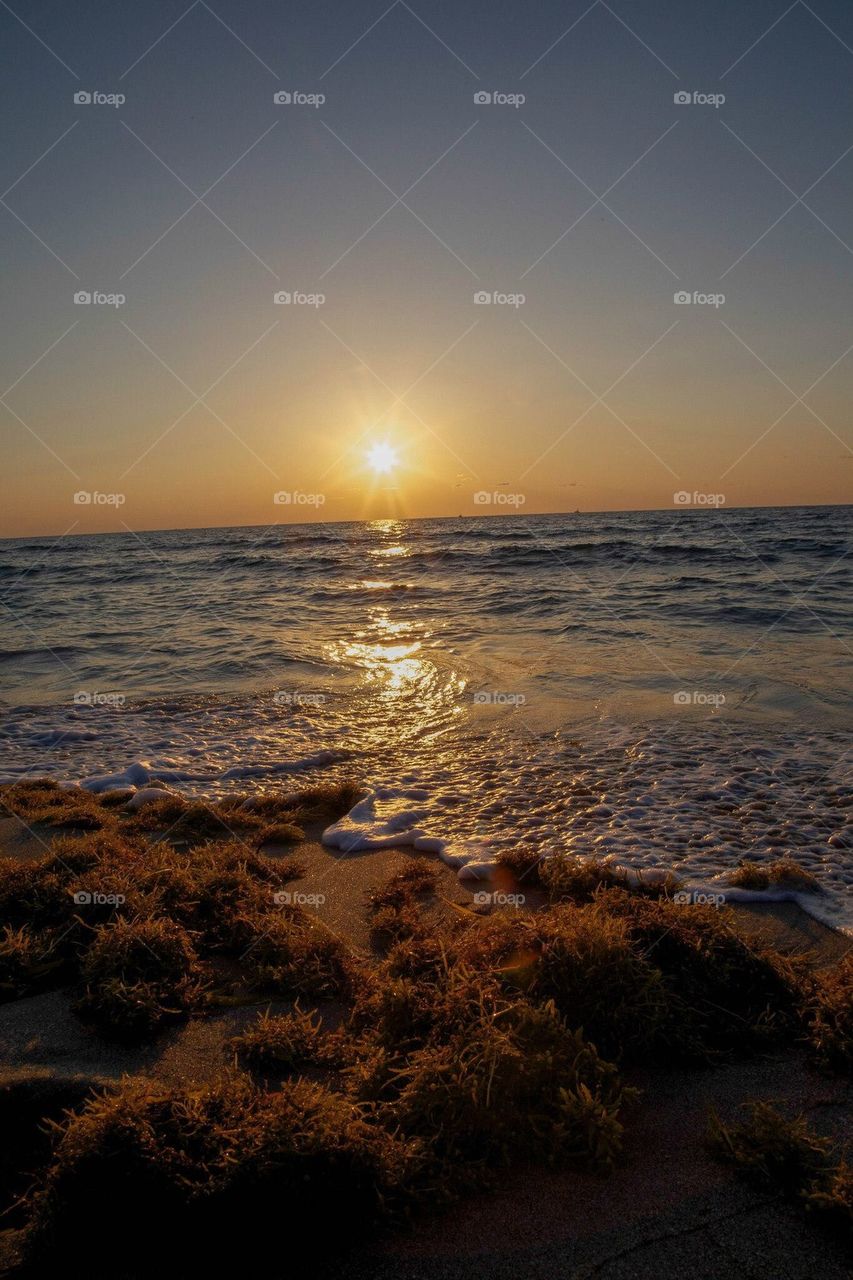 Golden Sunrise over the Atlantic Ocean