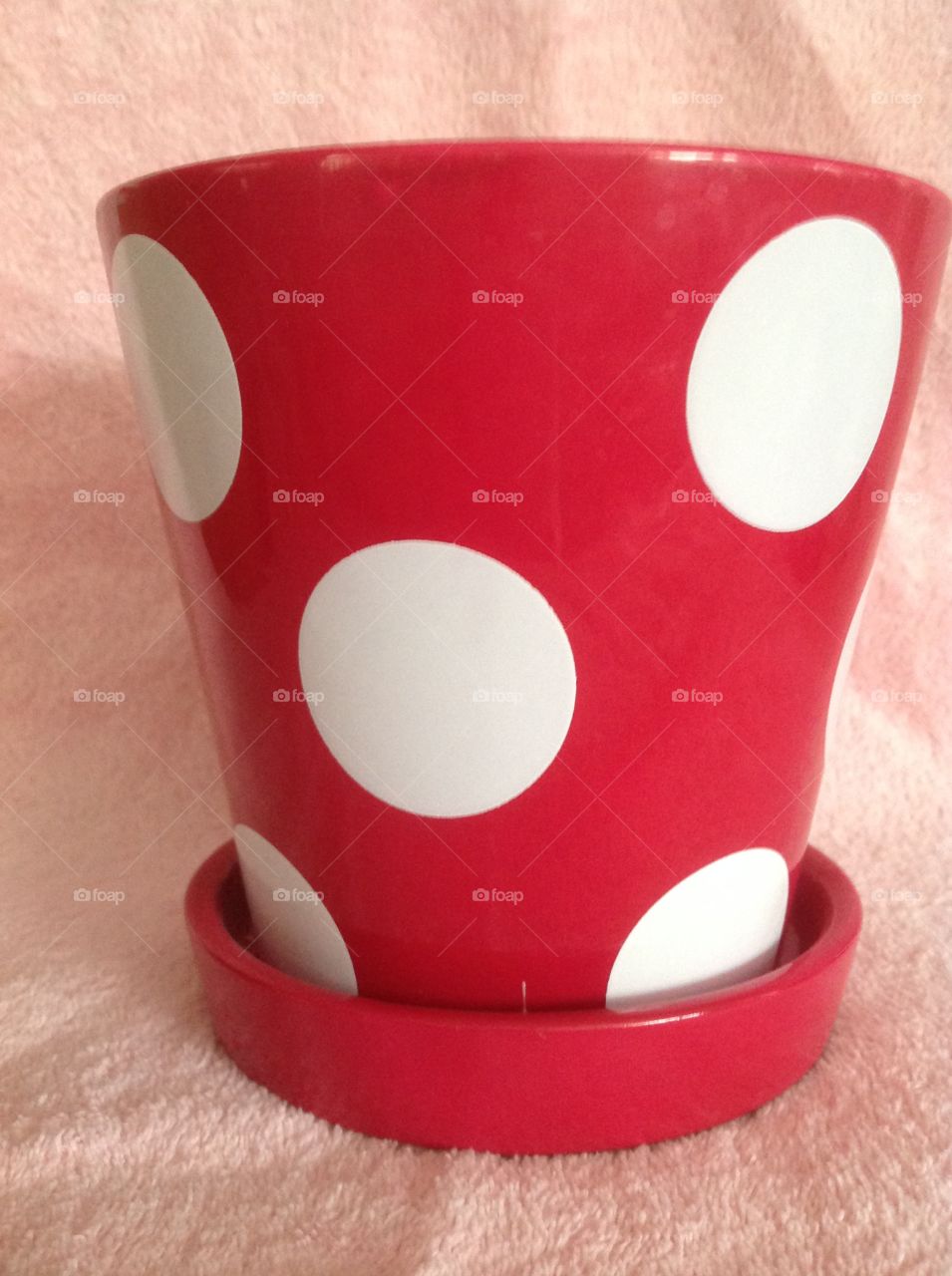 Pink polka dot flower pot.