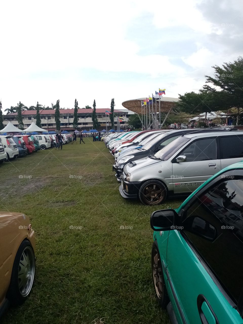 kancil