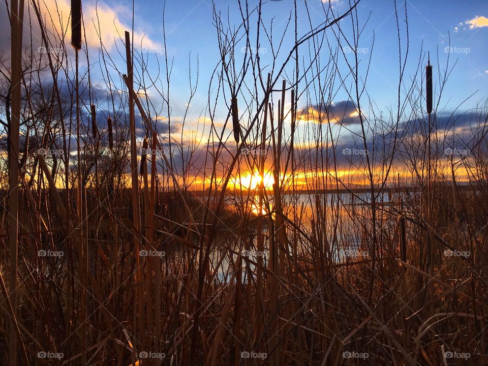 Lakeside Sunset view golden reflections 