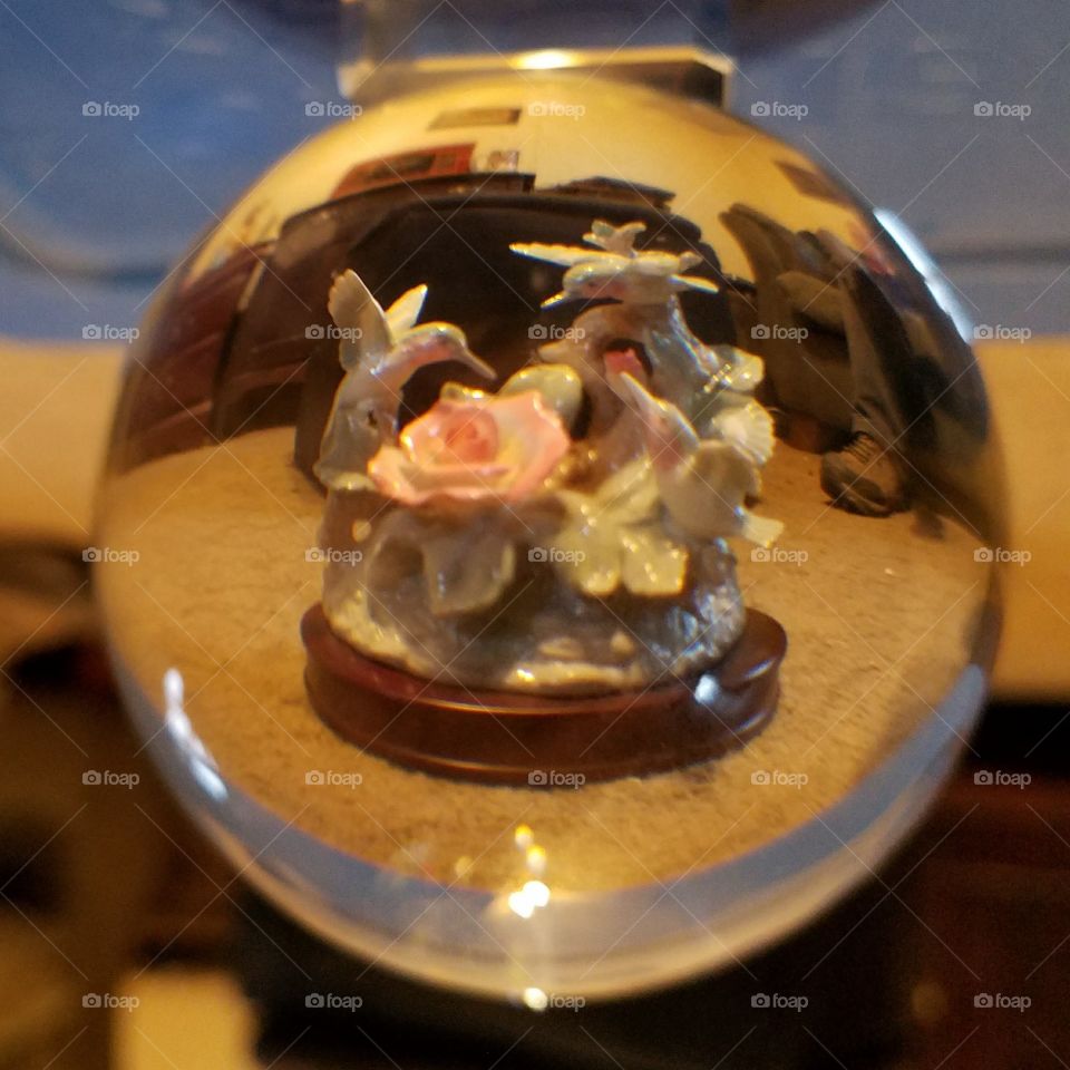 View in a lensball