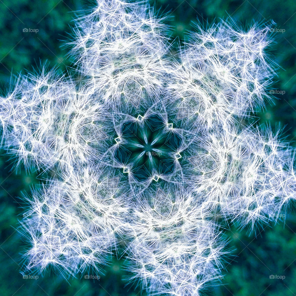 dandelion mandala