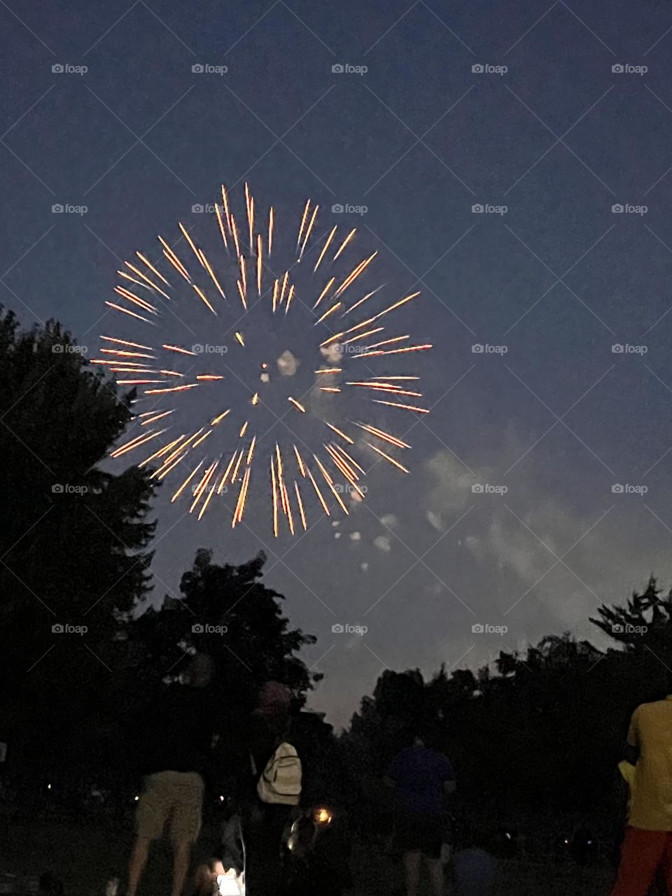 Fireworks on Independence Day