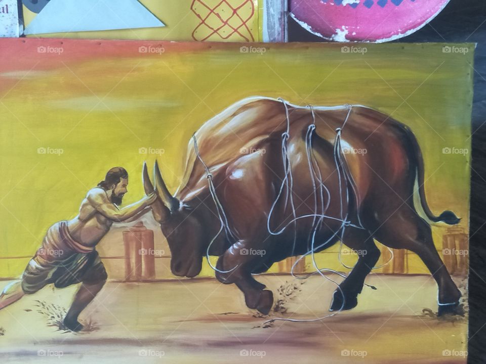 Pongal celebration, bull fighter