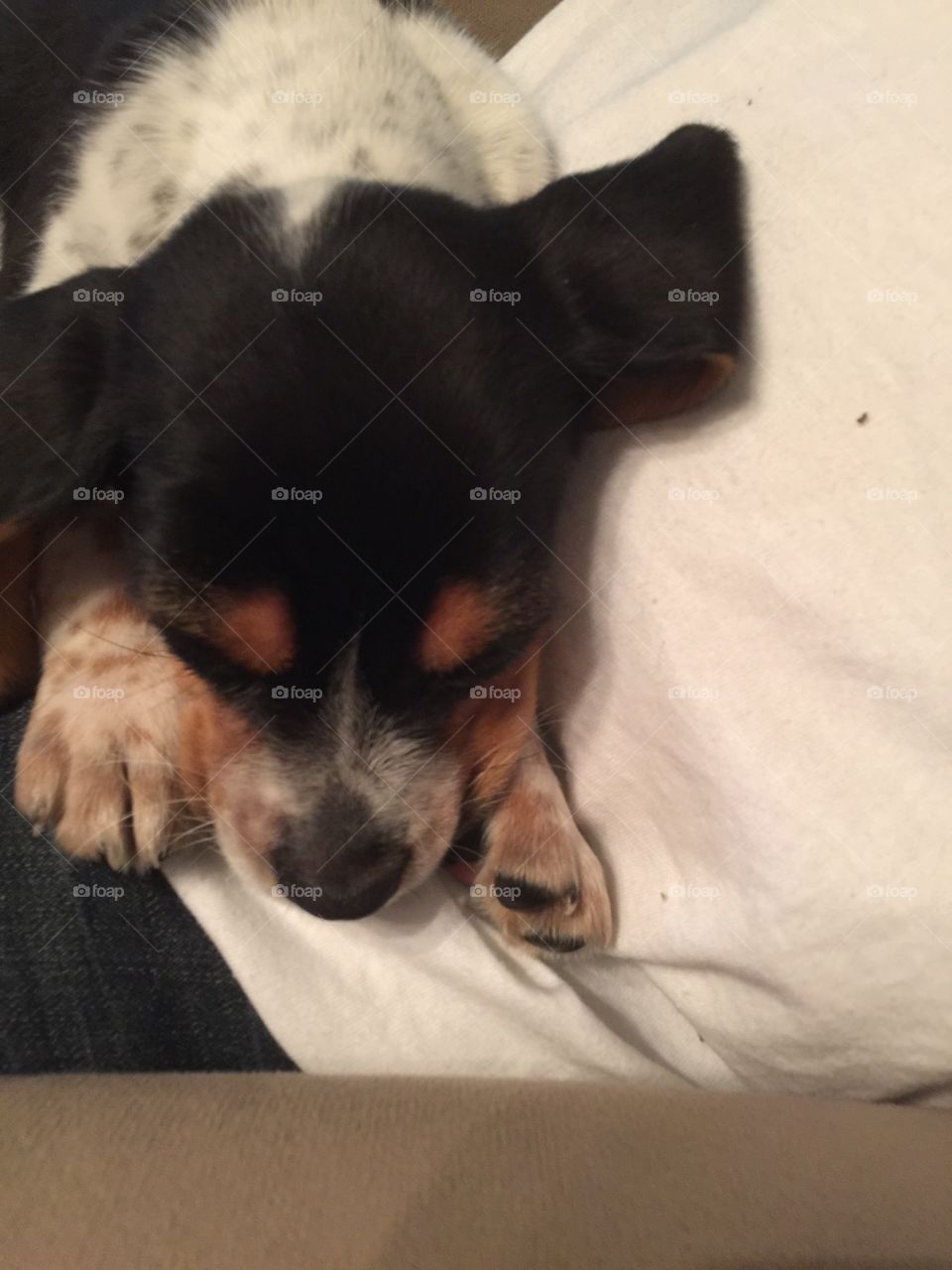 Cuddling with her daddy 