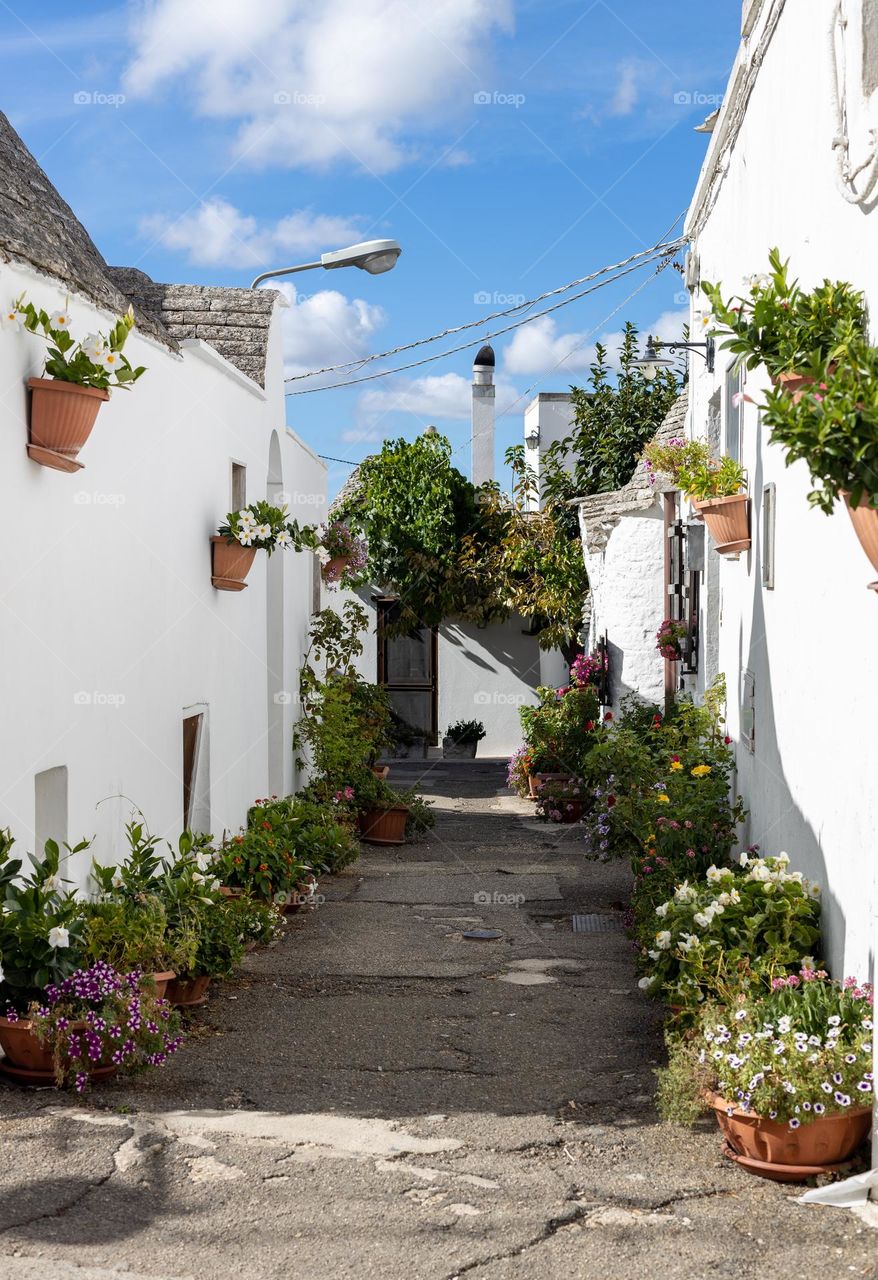 Beautiful view of a residential narrow white street with many flowers in pots on the ground and hanging on the walls on a sunny summer day in the city of Ostuni in Italy, close-up side view. The concept of urban plants, urban gardening.
