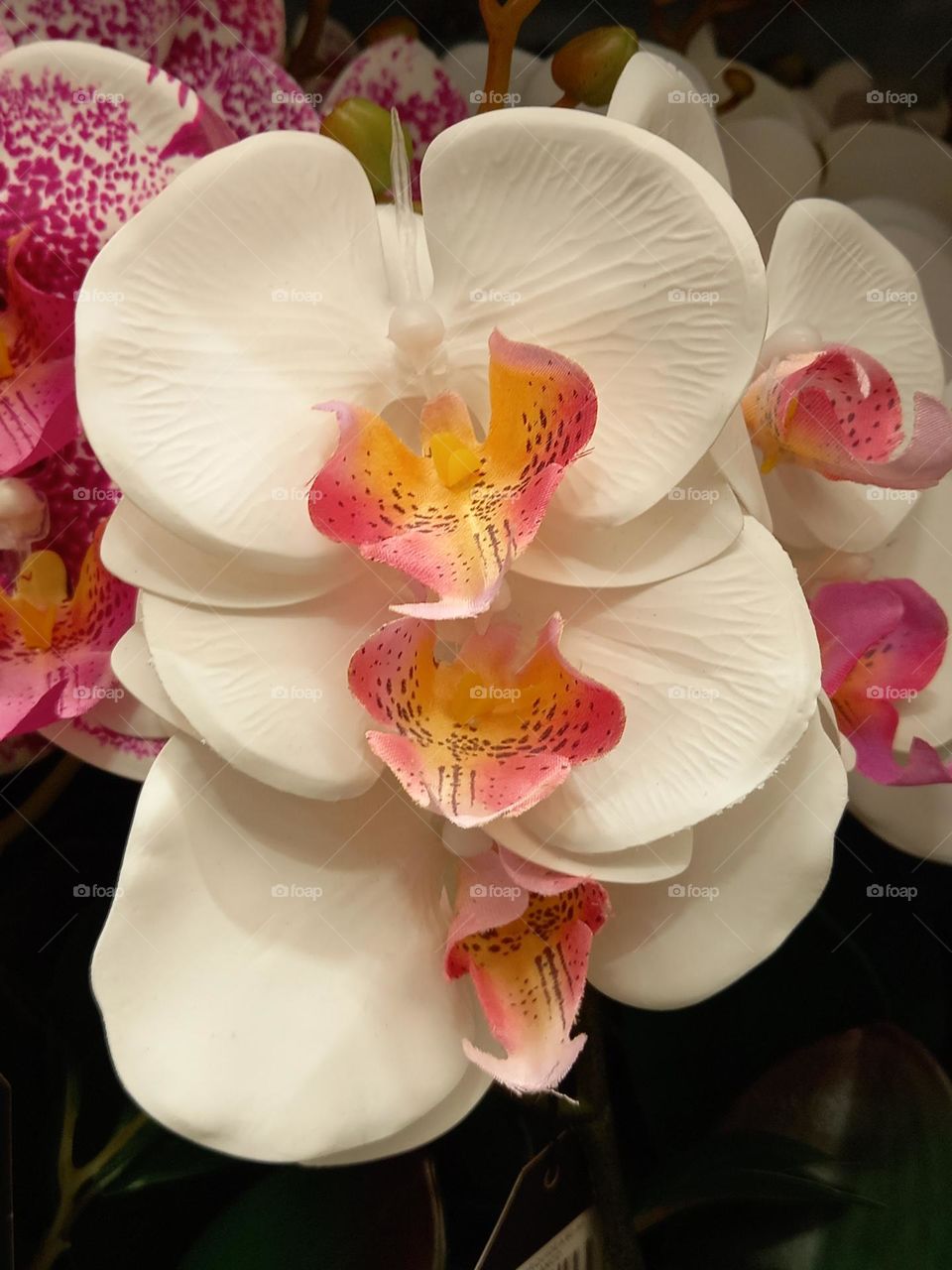 artificial white orchids