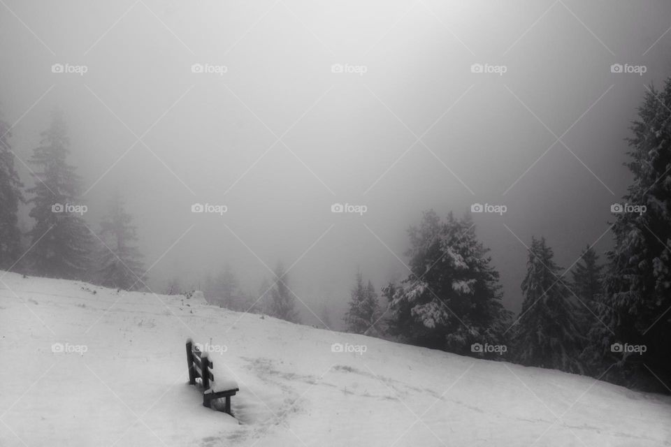 Snowy foggy landscape with a bench and tracks in the snow at the edge of the forest