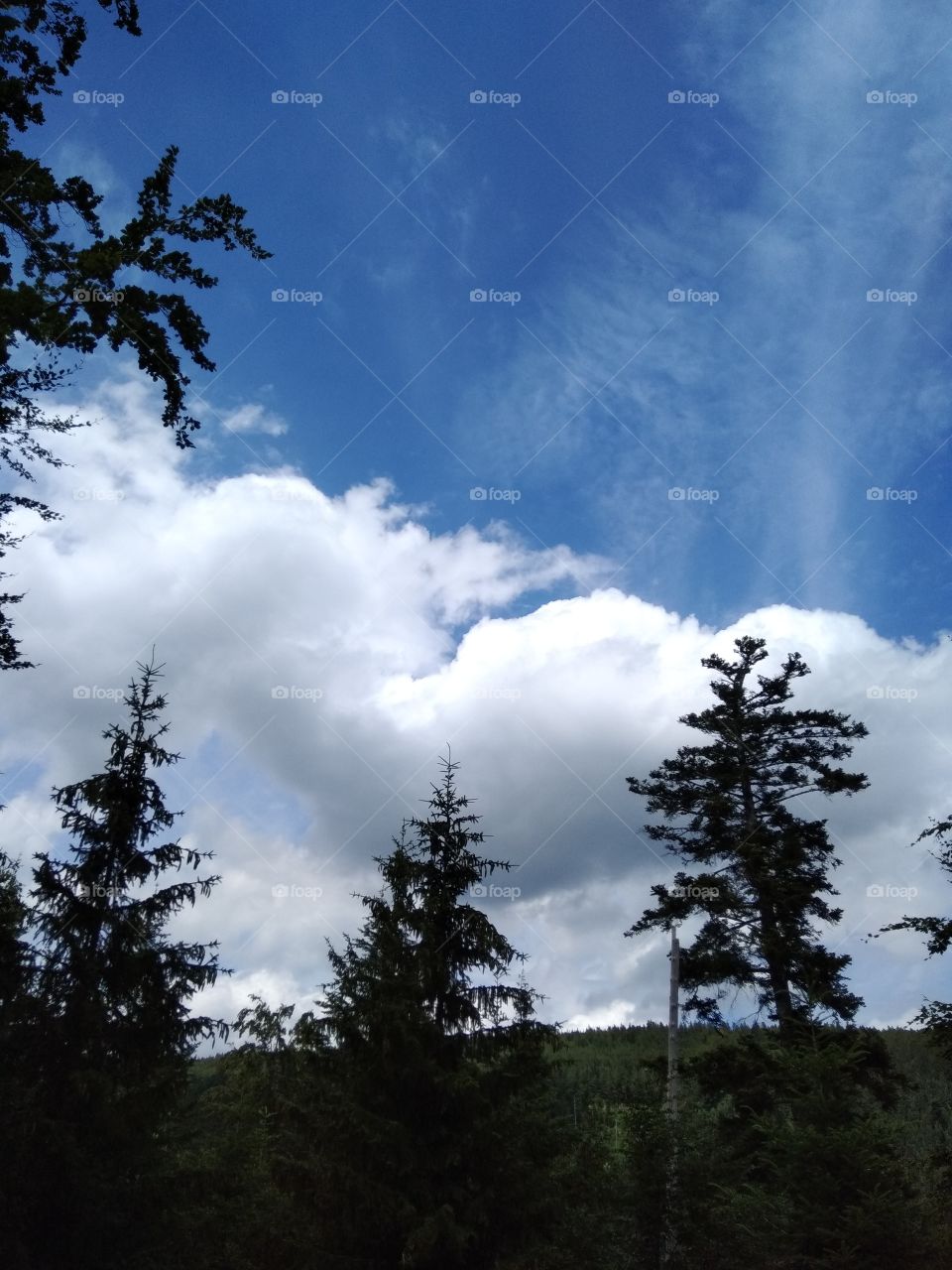 Bad Wildbad Schwarzwald