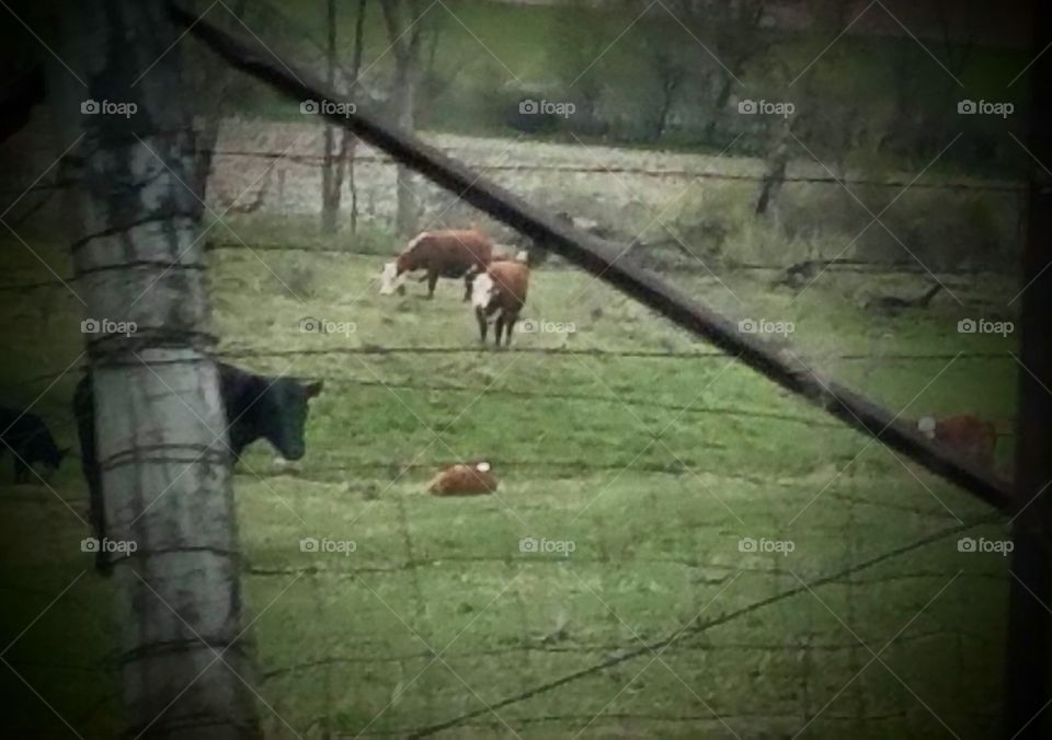 Driving the Back Roads and enjoying everything around us