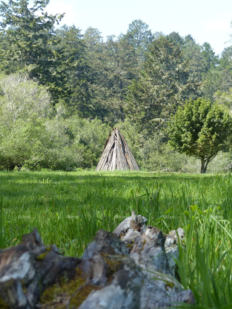tipi in CA