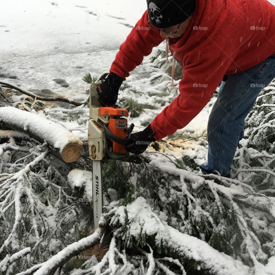 Stihl Chainsaw Cutting Wood After Storm