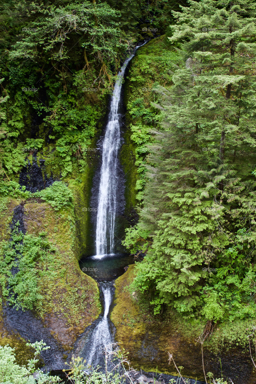 PNW Waterfalls