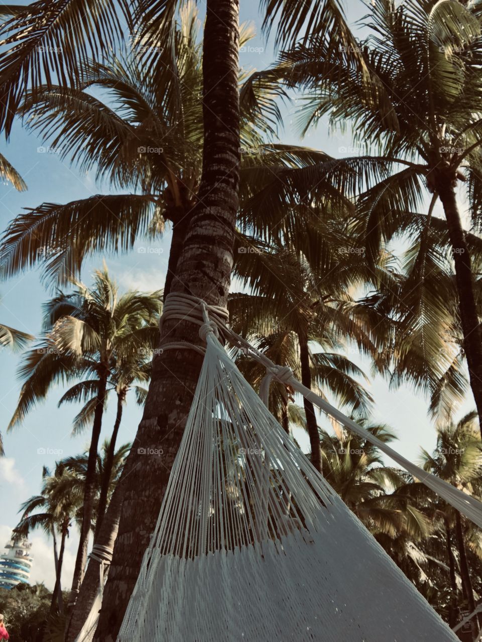 Enjoying my day on the hammock over here in Mexico!  Checkout  Xel-Ha water park for a good time with family and friends 🌞