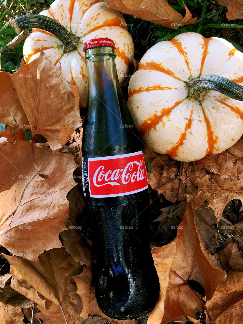 Coca Cola in the fall