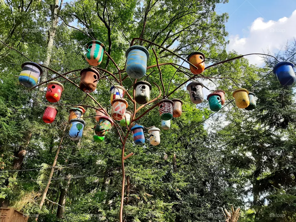 Bird count