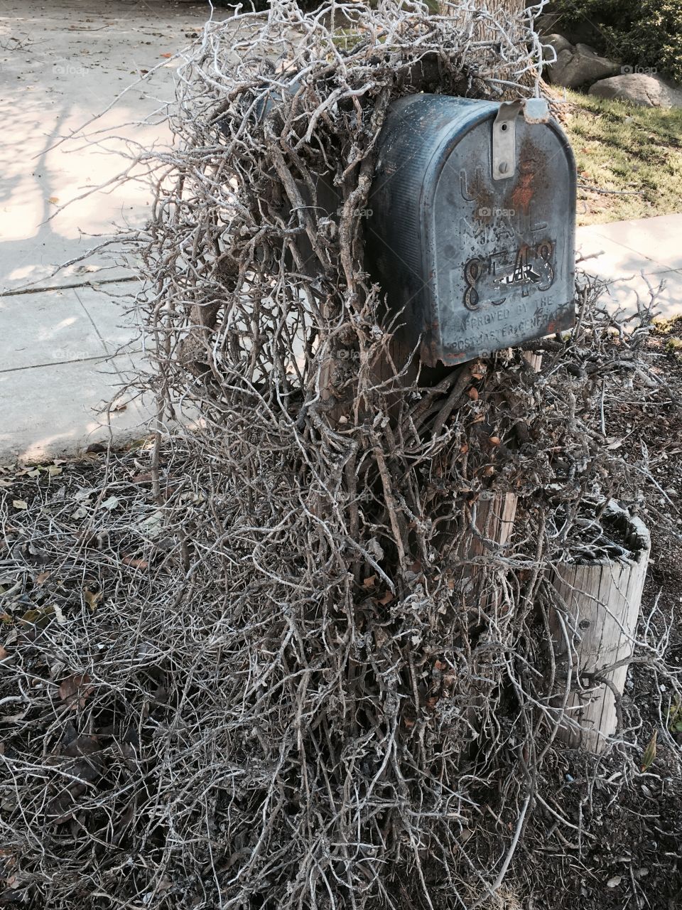 Abandoned mail