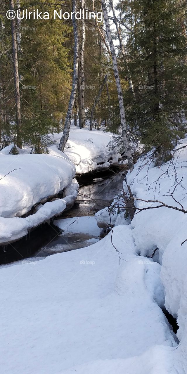 Winter in Näbybäcken.