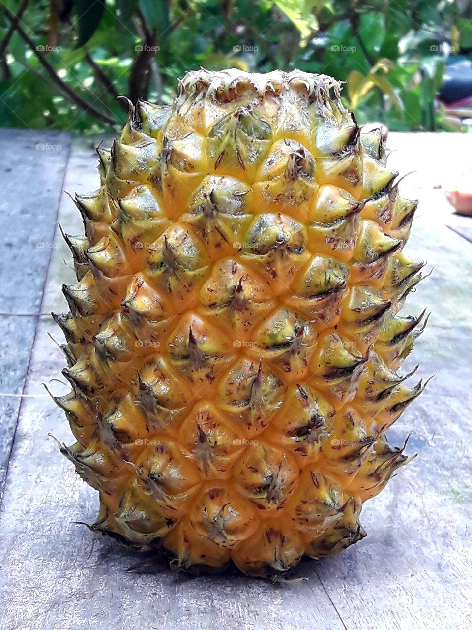 Exocit pineapple fruit