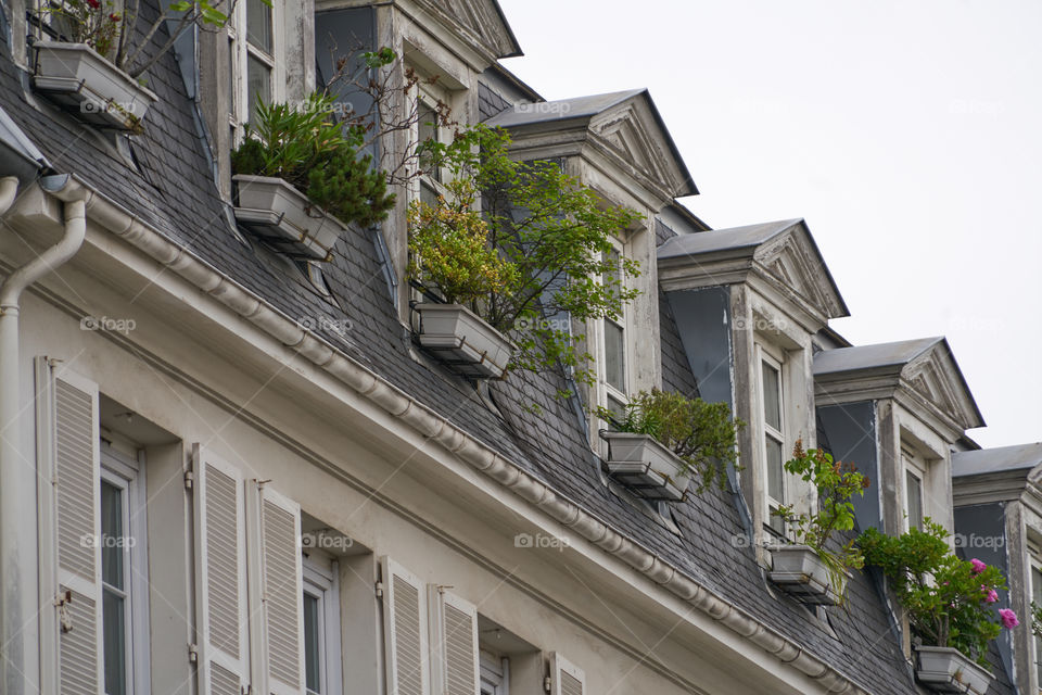 Parisienne's roofs