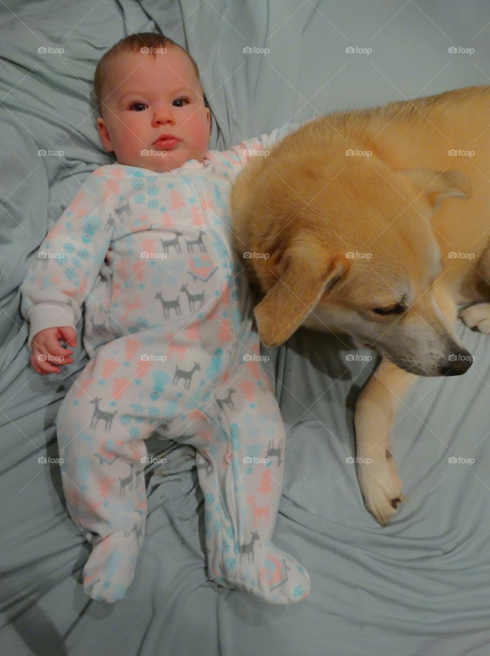 Family Dog With Baby Girl