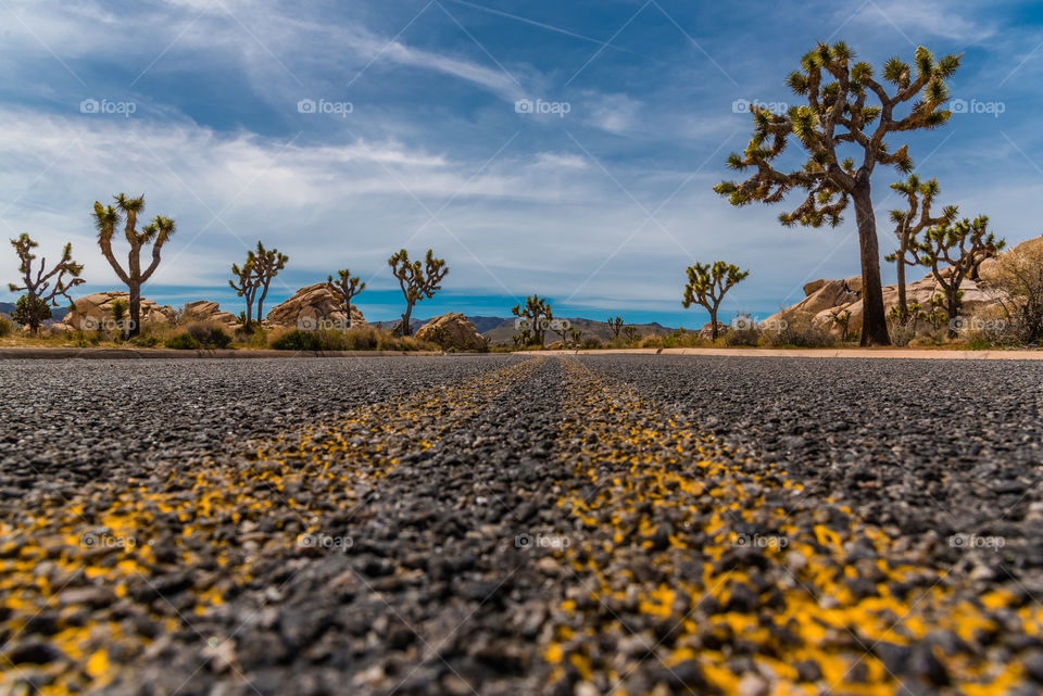 Low angle of long rural empty road through California’s Joshua tree national park desert environment 
