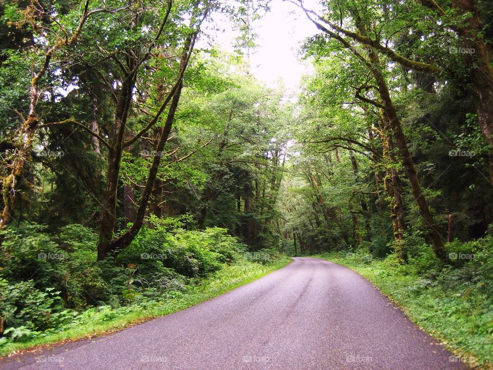 View of a empty road