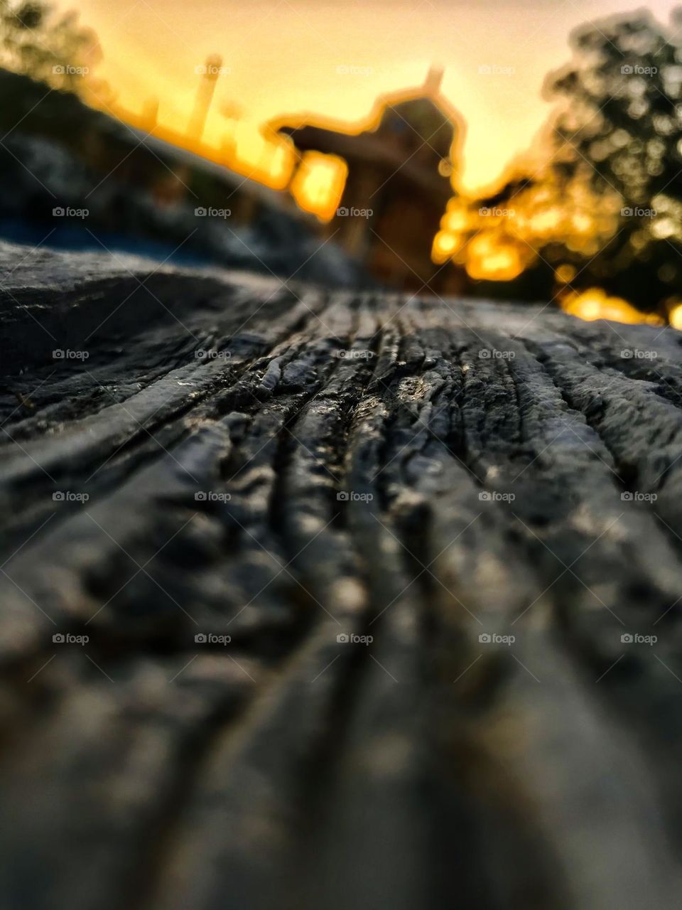 Abstract photography 