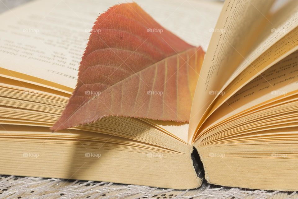 Book and colourful autumn leaf
